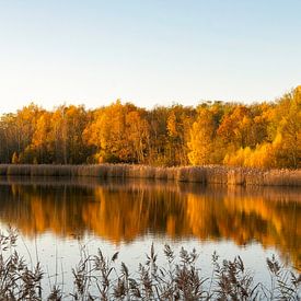 herfst van Joep Deumes