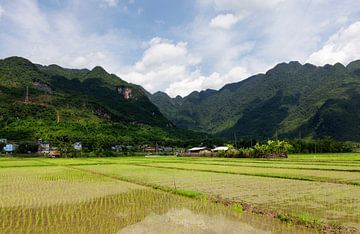 Rijstvelden Mai Chau - Vietnam van Rick Van der Poorten