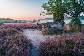 Fog is rolling in by Pure Moments Photographie