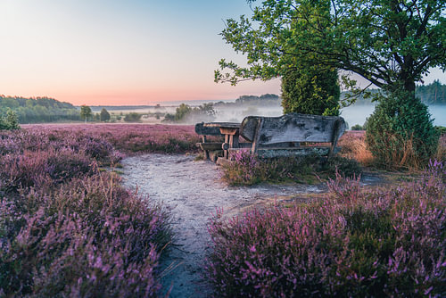 Er trekt mist op