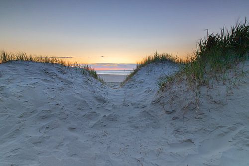 Sonnenuntergang in den Dünen vor SPO