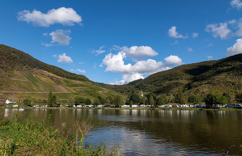 Senhals von Richard Wareham