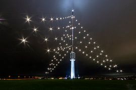 Der größte Weihnachtsbaum der Welt...