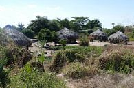 Zambiaans dorp von Peter Polling Miniaturansicht