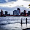 Rotterdam Willemsbrug von Mehmet Karaman
