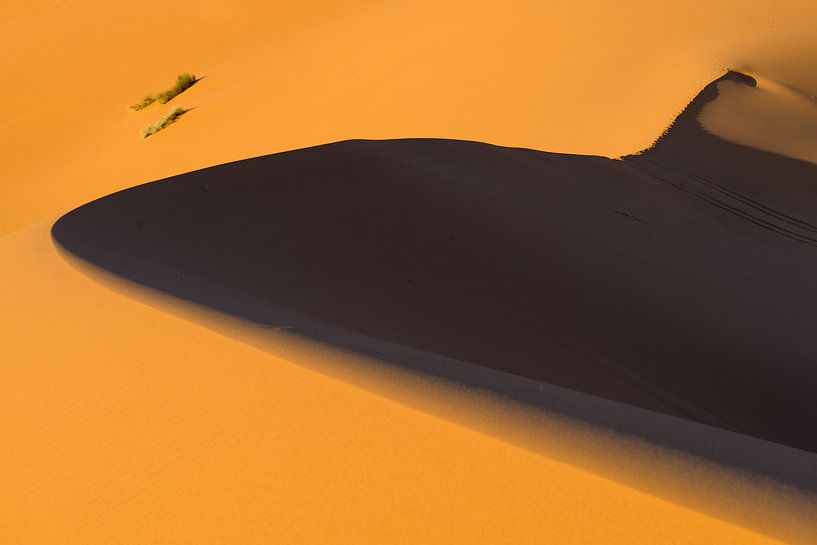 Erg Chebbi von Johan van Veelen