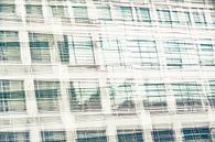 windows by jowan iven thumbnail