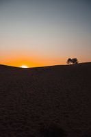 The sun sets behind a sand dune
