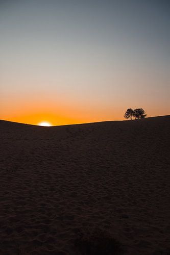 De zon gaat onder achter een zandduin