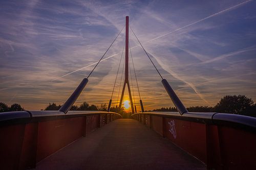 Rode loper, Stadskanaal