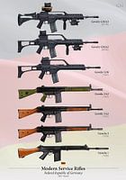 Deutsche Dienstgewehre Modern