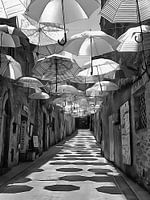 Festa Umbrellas Paciano Black and White