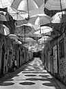 Festa Umbrellas Paciano Black and White by Dorothy Berry-Lound thumbnail