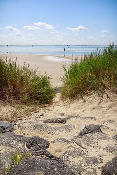 Pad naar het strand