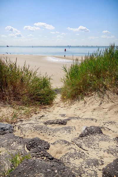 Path to the beach by Fotografie Jeronimo