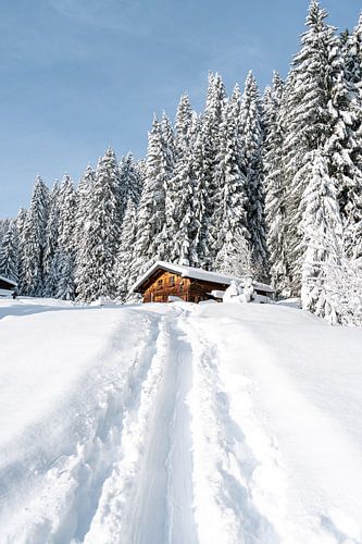 Alpenhut in de winter met veel sneeuw in staand formaat