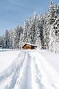 Alpenhut in de winter met veel sneeuw in staand formaat van Leo Schindzielorz thumbnail