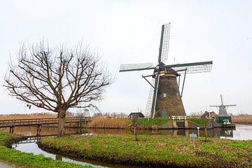 Windmill Kinderdijk by Merijn Loch