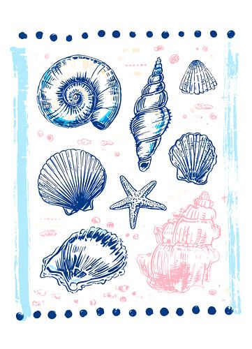Coquillages