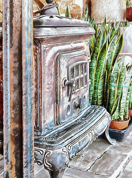 Old Wood Burning Stove With Snake Plants by Dorothy Berry-Lound