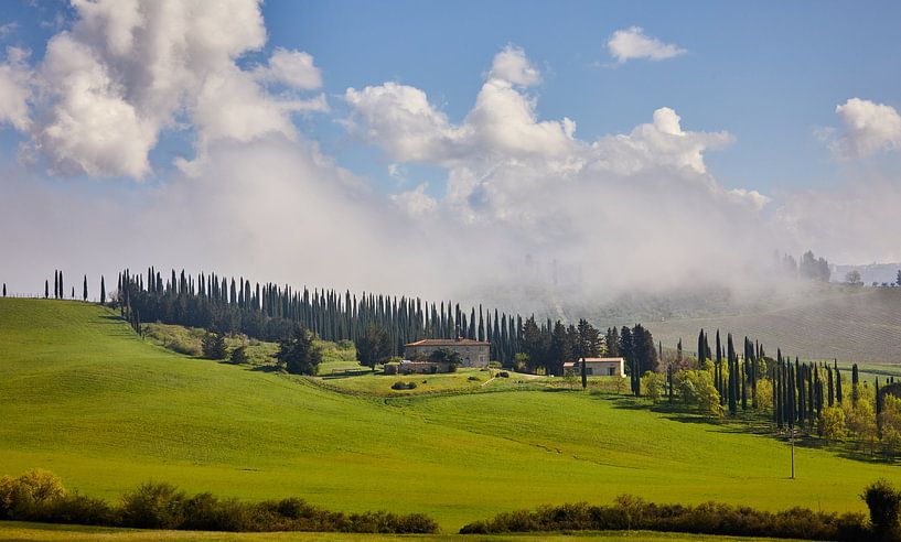 The Mist by Graham Forrester