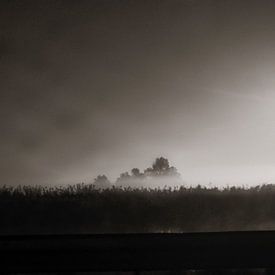 Brouillard sur Albert Hartwig