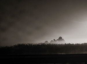 Brouillard