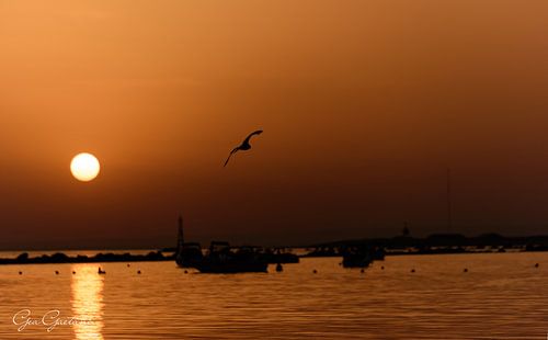 Oranje zonsondergang met de zon die een licht kielzog over de zee maakt