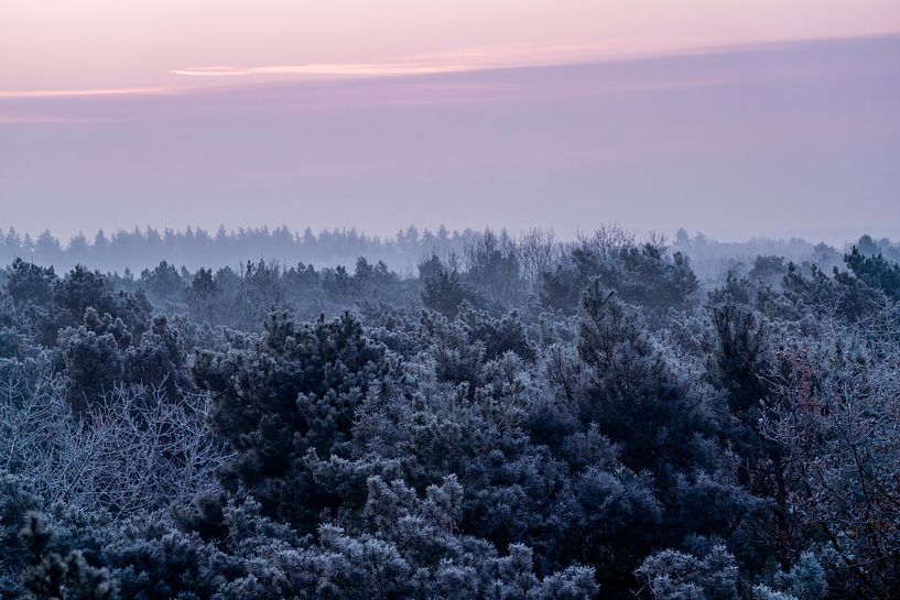 Waldrand Eisig in Lila Morgennebel von Femke Ketelaar