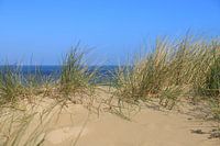 dunes en bord de mer