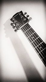 Shadowplay ll by Annemiek van Eeden