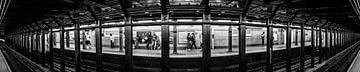 Panorama New York City Subway