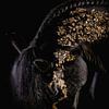 Blackfoto tête de cheval avec or sur Ellen Van Loon