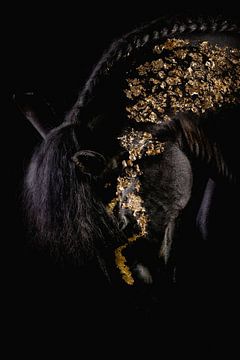 Schwarzfoto Kopf Pferd mit Gold von Ellen Van Loon