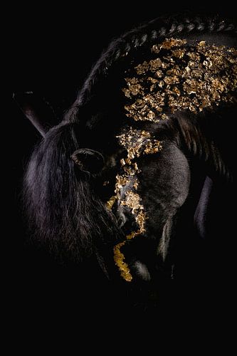 Blackfoto head horse with gold