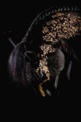 Blackfoto hoofd paard met goud