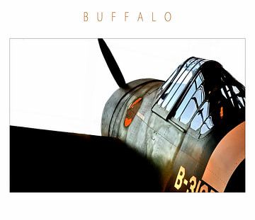 Buffalo van CoolMotions PhotoArt
