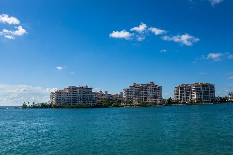USA, Florida, Miami Houses at waterfront with palm trees near miami beach by adventure-photos