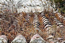 Altes toskanisches Dach von Dick de Gelder