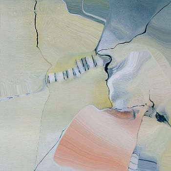 Beeld 8 van de Egmondse duinen (Noord-Holland)