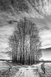 crossroads by Joep Deumes