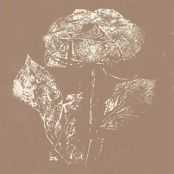 Roos. Japandi botanische kunst in bruin en wit. van Dina Dankers