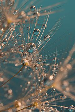 Droplets glistening in the light by Marjolijn van den Berg