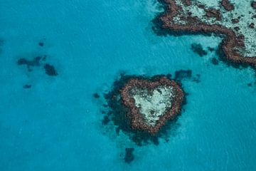 Heart Reef von Robert Styppa