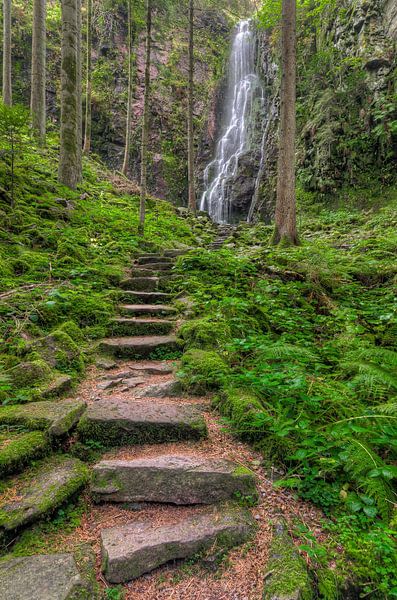 Cascade de Burgbach en Forêt Noire par Michael Valjak