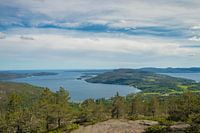 Grünes Schweden