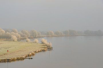 Winterlandschap in de delta van de IJssel bij Kampen van Sjoerd van der Wal Fotografie