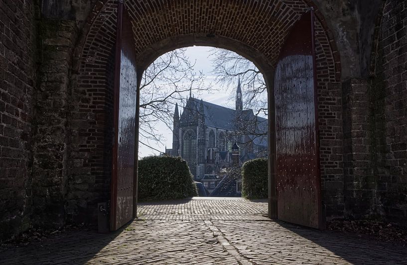 Een Venster op het Verleden – De Burcht van Leiden van Robert Jan Smit