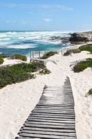 CapeNature beach in South Africa