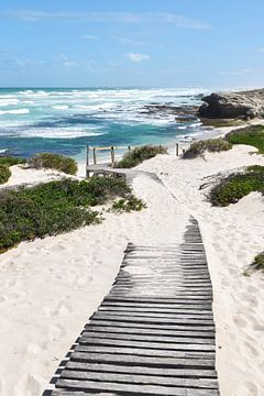Strand van CapeNature in Zuid-Afrika van Nathalie Wilmsen